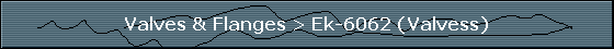 Valves & Flanges > Ek-6062 (Valvess)